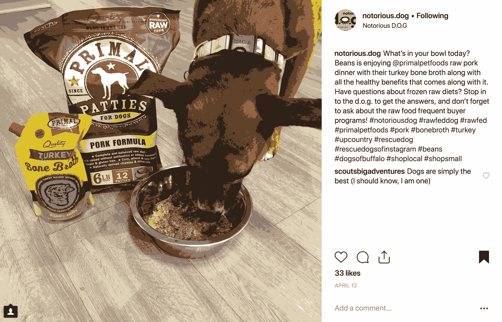 Can Dogs Eat Primal Cat Food